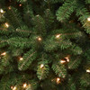 National Tree Company 7 ft. Kingswood Fir Pencil Christmas Tree with 300 Clear Lights