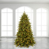 7.5 ft. Rochester Fraser Fir Christmas Tree, 750 LED Multi Function Micro Lights