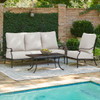 Naples Aged Bronze Cast Aluminum with Estate Cushions 3 Piece Sofa Group + 45 x 24 in. Coffee Table