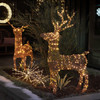 4.8 ft. Reindeer with 96 Warm White LED Lights