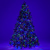 7.5 ft. Fraser Fir Full Christmas Tree with 2800 Twinkling LED Lights