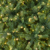 9 ft. Balsam Fir Slim Christmas Tree with 1100 Twinkling Dual LED Lights