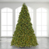 10 ft. Fraser Fir Full Christmas Tree with 4500 Twinkle LED Lights