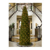12 ft. Tacoma Pine Pencil Slim Tree Incandescent Clear, 850 Lights