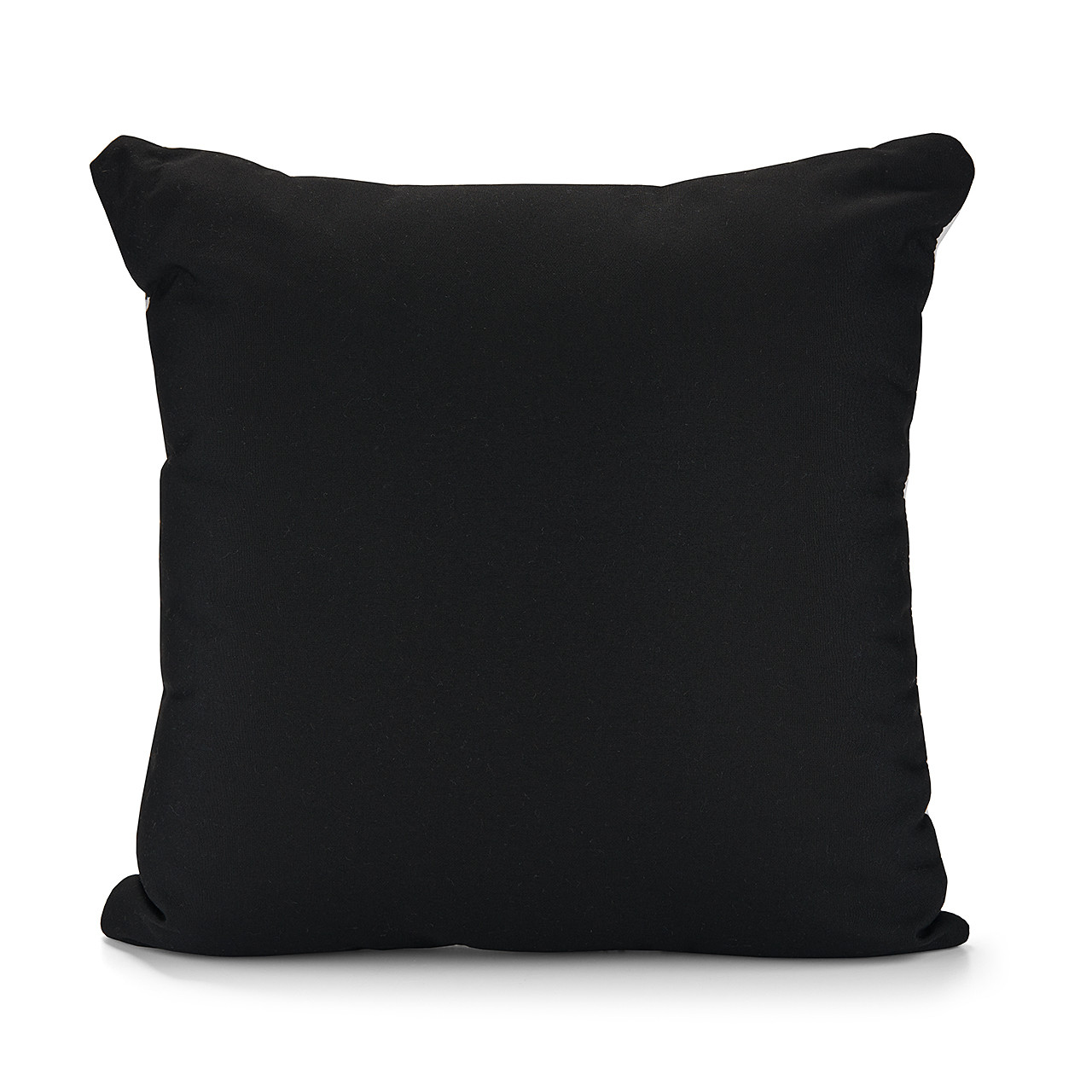 Black Palm Fan and Canvas Black 22 x 22 in. Back Pillow