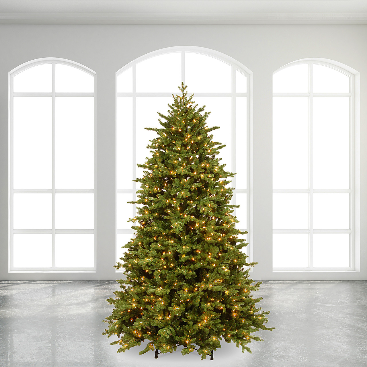 7.5 ft. Rochester Fraser Fir Full Christmas Tree Incandescent Clear, 1200 Lights
