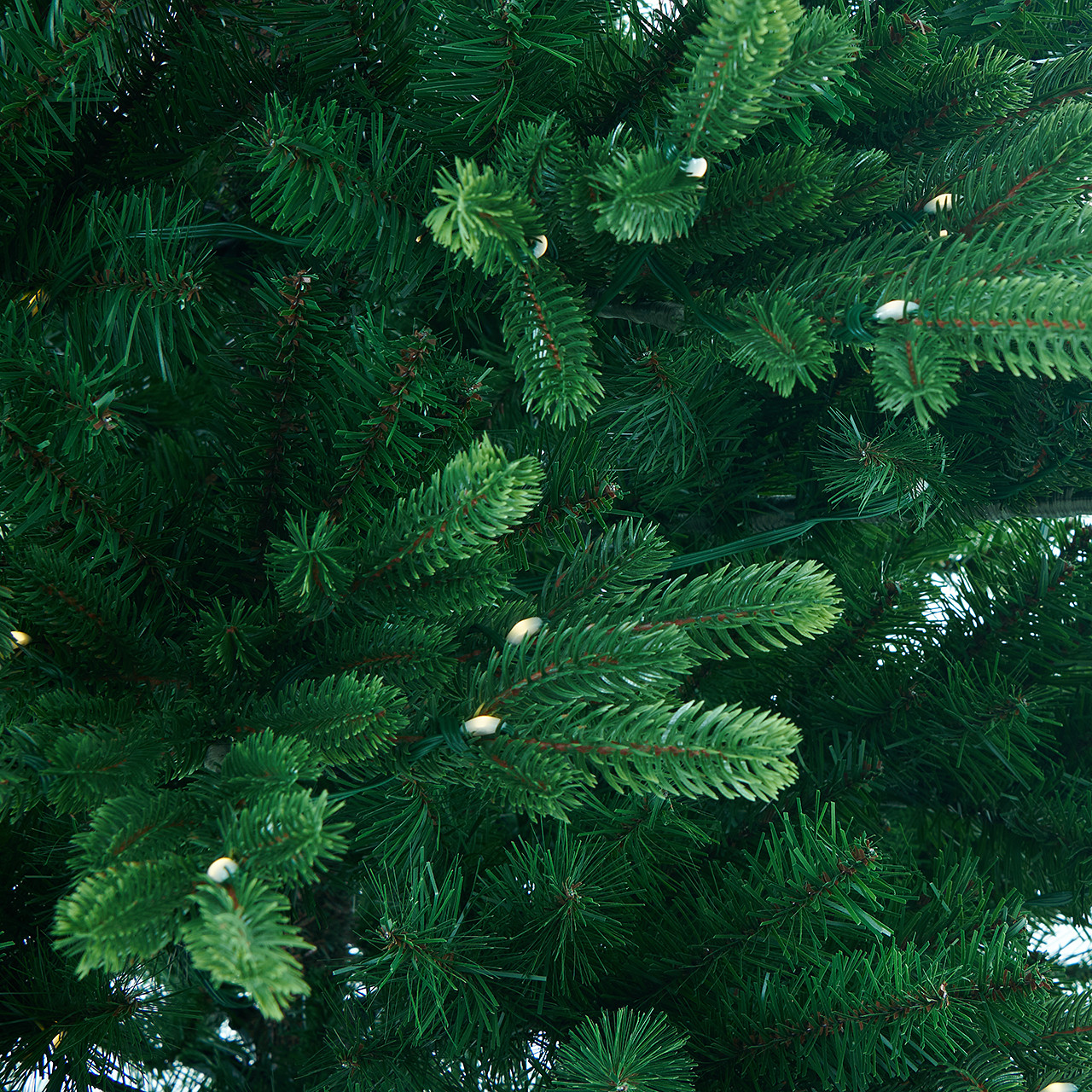 7.4 ft. Sunpeaks Fir Classic Christmas Tree with 550 Micro Color