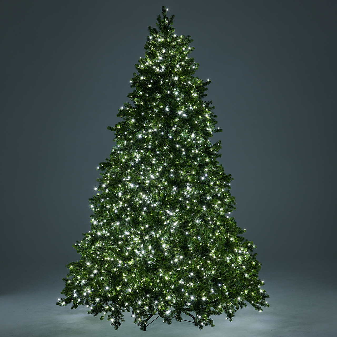 7.5 ft. Fraser Fir Full Christmas Tree with 2800 Twinkling LED