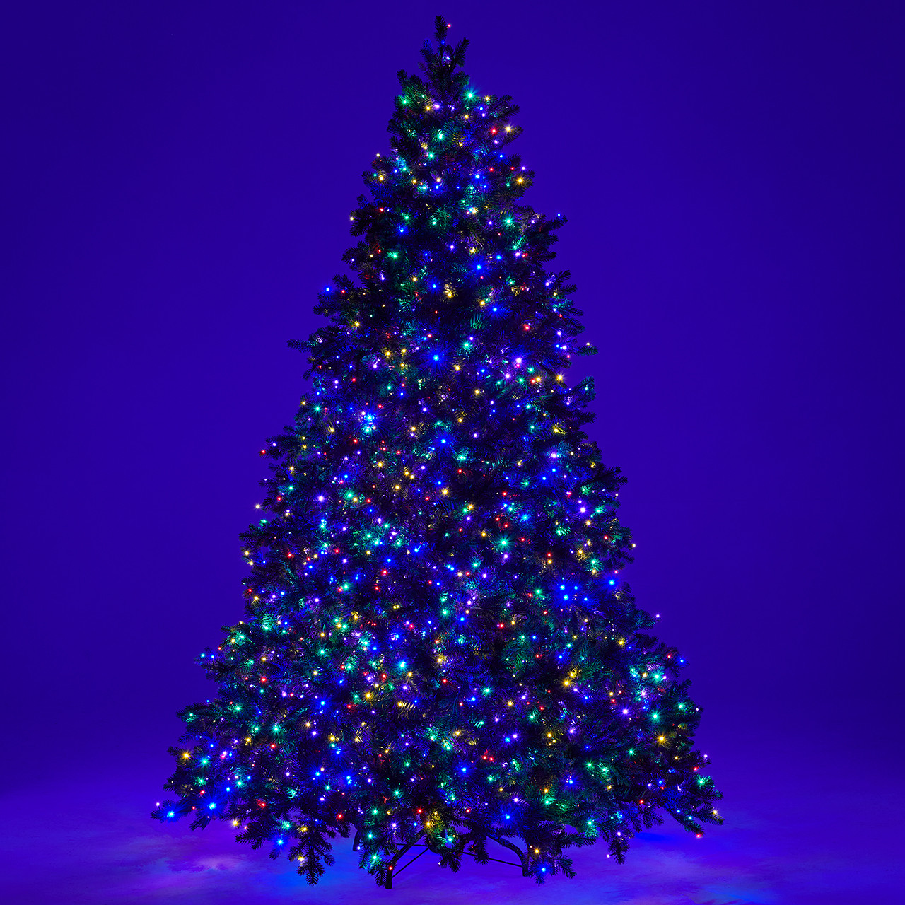 7.5 ft. Fraser Fir Full Christmas Tree with 2800 Twinkling LED