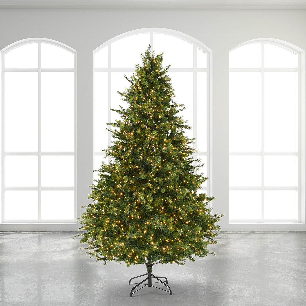 7.5 ft. Douglas Fir Full Christmas Tree with 3000 Twinkling Dual