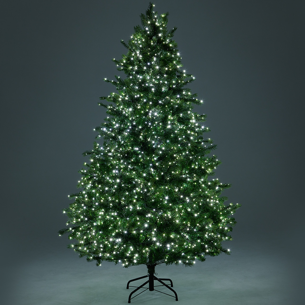 7.5 ft. Douglas Fir Full Christmas Tree with 3000 Twinkling Dual