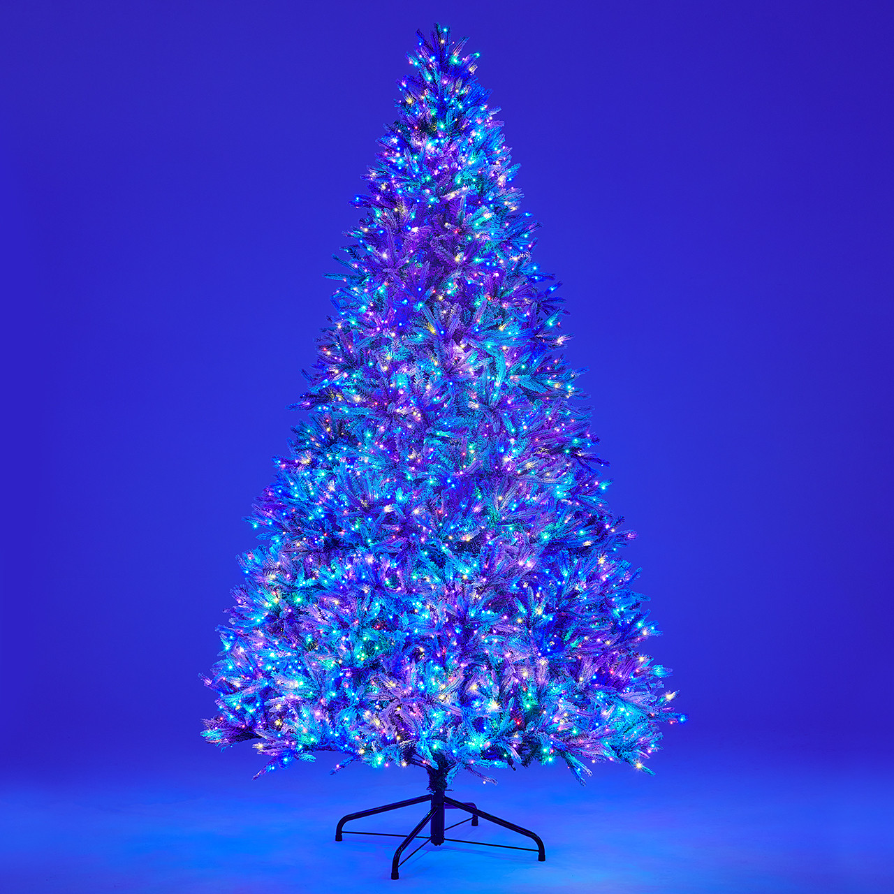 10 ft. Flocked Noble Fir Full Christmas Tree with 4000 LED Lights 10 ft. Flocked Noble Fir Full Christmas Tree with 4000 LED Lights