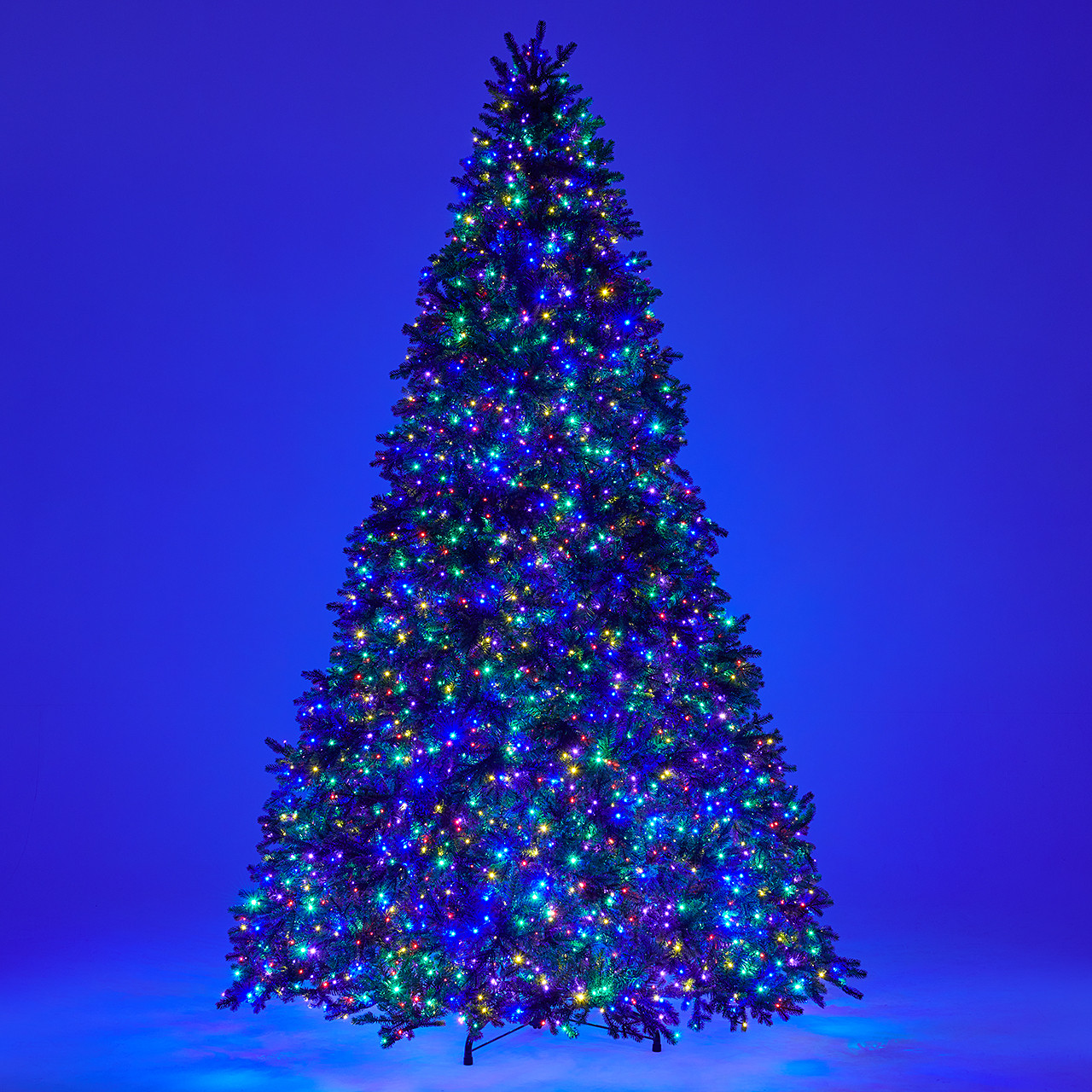 10 ft. Fraser Fir Full Christmas Tree with 4500 Twinkle LED Lights