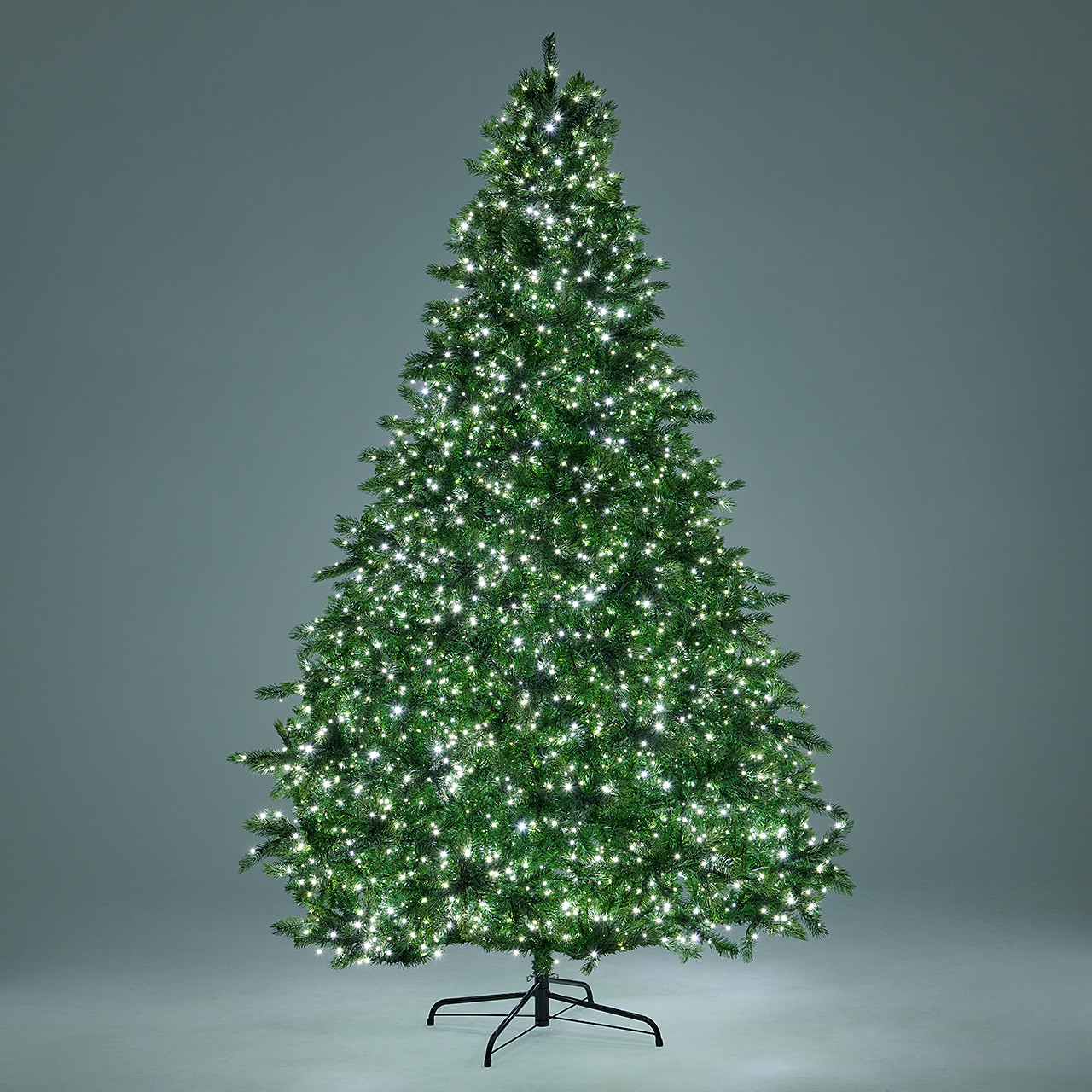 9 ft. Douglas Fir Full Christmas Tree with 4500 Twinkling Dual LED
