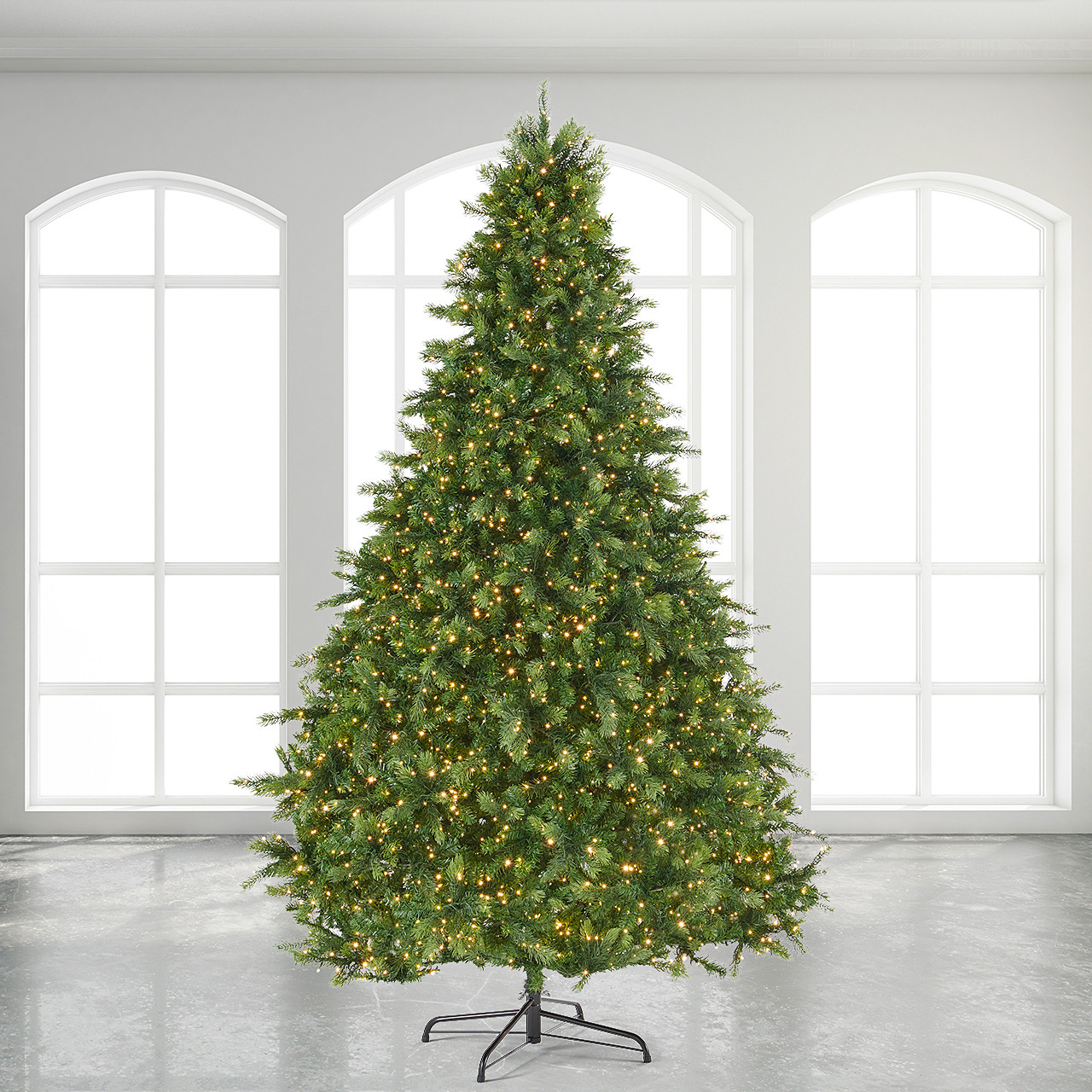 9 ft. Douglas Fir Full Christmas Tree with 4500 Twinkling Dual LED