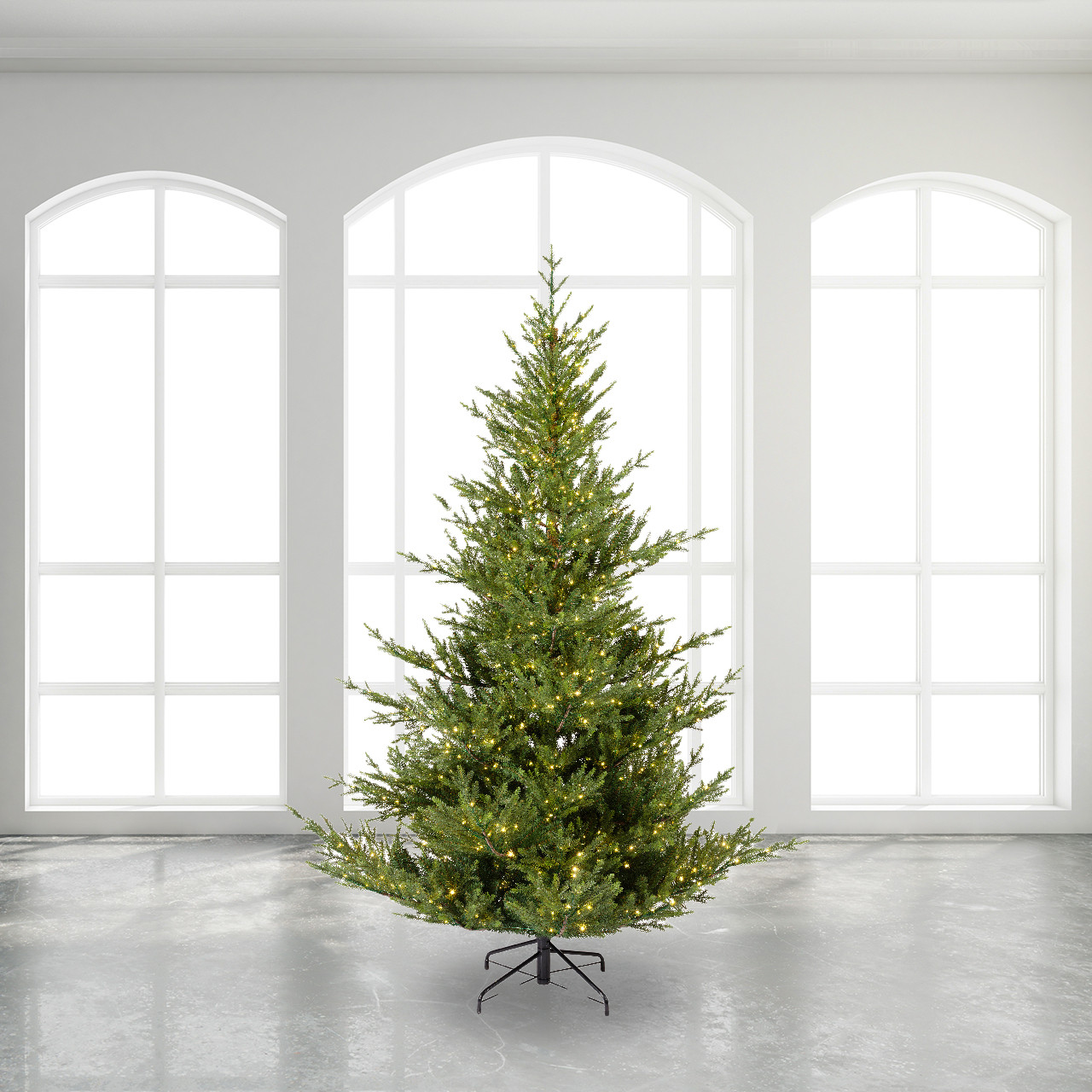 ★新品未開封★SPICARE V3 ChristmasCoffret2024 スピケア V3 限定コフレセット