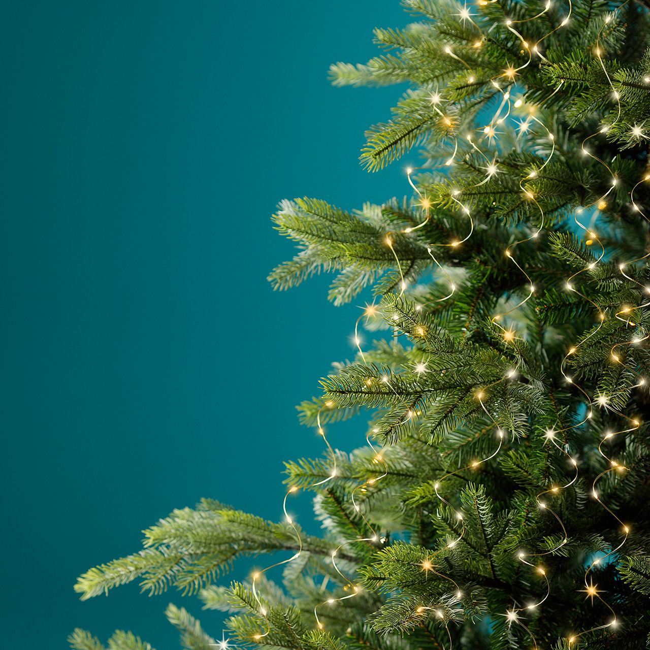 7.9 ft. 832 Bunch Micro Warm White LED Lights with 16 Gold Wire