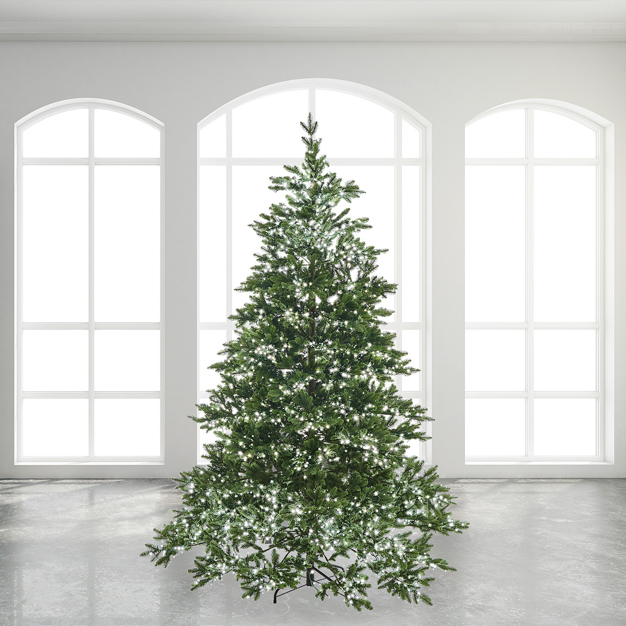 7.4 ft. Rossland Fir Full Christmas Tree with 3000 3mm Warm White