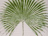 Cyperus Palm Sunbrella 18 x 18 in. Throw Pillow