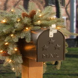 36 in. Frosted Arctic Spruce Mailbox Swag LED Warm White, 35 Lights