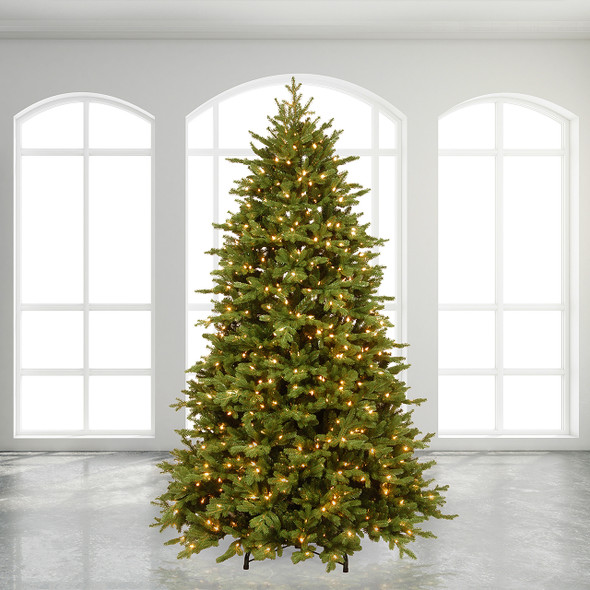 12 ft. Rochester Fraser Fir Full Christmas Tree LED Dual, 2000