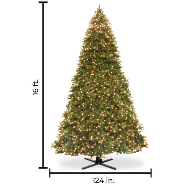 Downswept Douglas Fir Full Christmas Tree LED Dual Lights