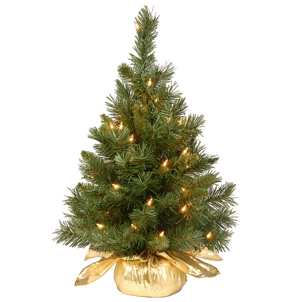 National Tree Company 24 in. Majestic Fir Tree with 35 Clear Lights, Gold
