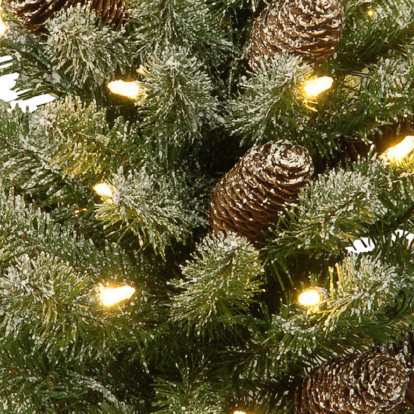 National Tree Company 2 ft. Snowy Concolor Fir Tree with 50 LED Lights