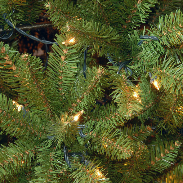 National Tree Company 6.5 ft. Kingswood Fir Pencil Christmas Tree with 250 Clear Lights
