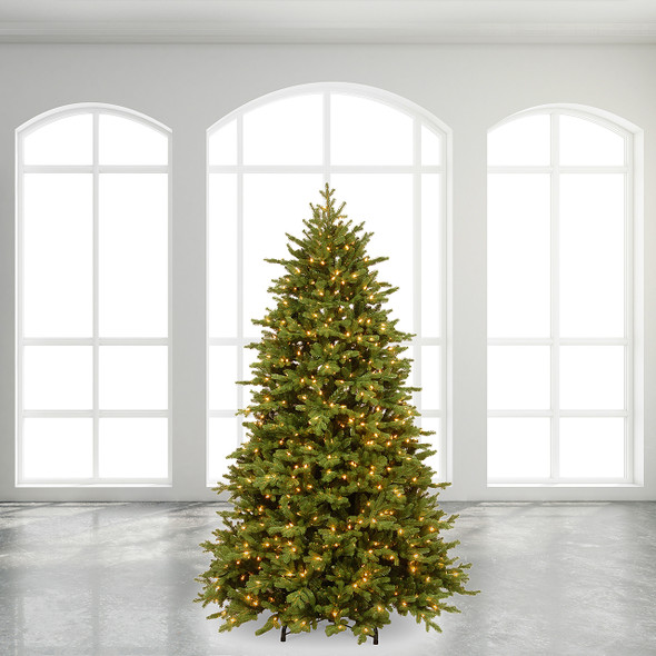 6.5 ft. Rochester Fraser Fir Full Christmas Tree LED Dual, 800 Lights