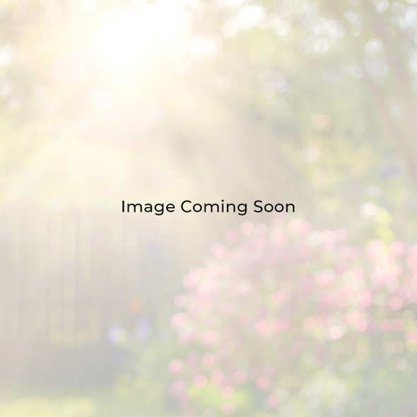 Key West Rustic Bronze Aluminum with Cushions 7 Piece Dining Set + 82 x 41 in. Table