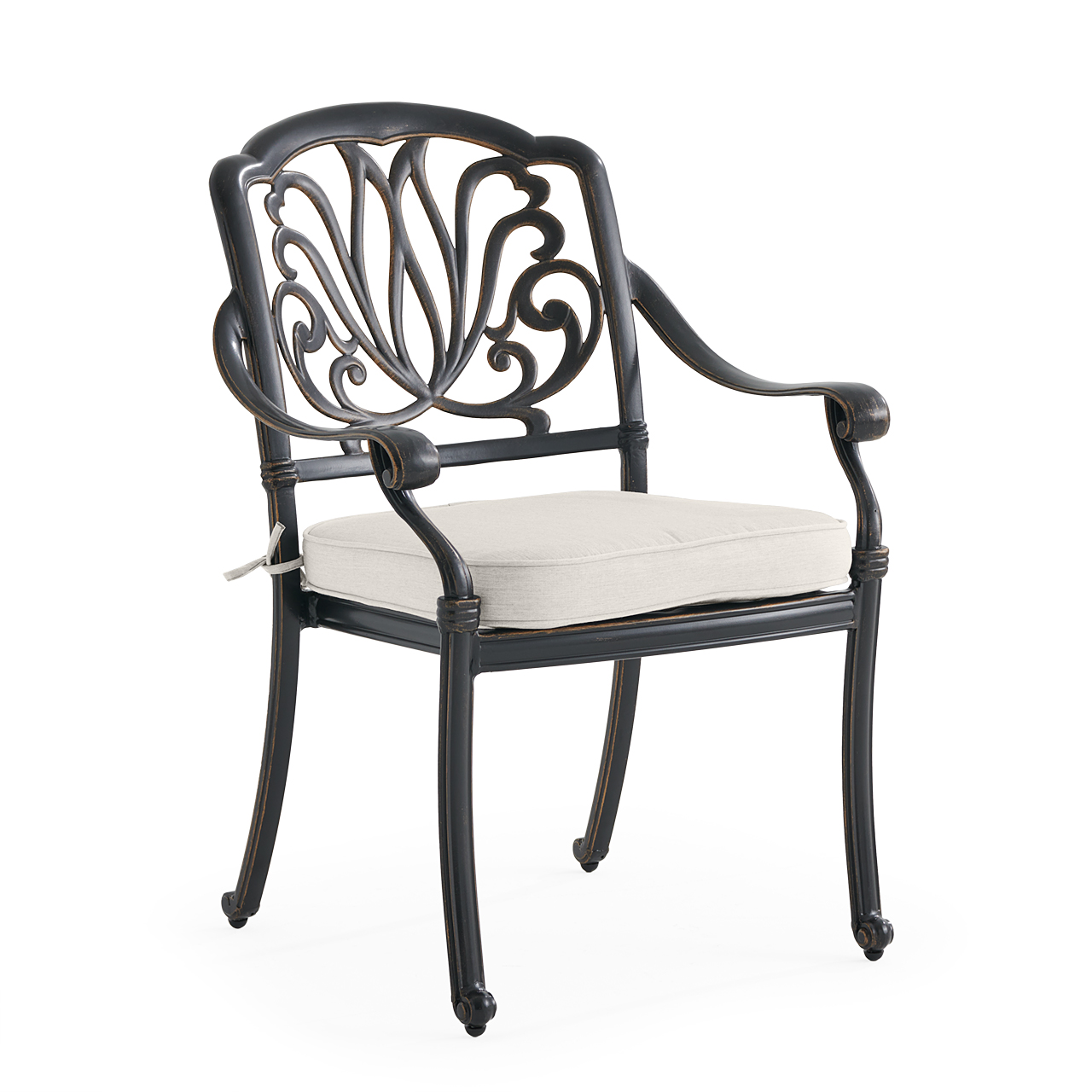 Roma Black Gold Cast Aluminum with Cushion Dining Chair (Mist)