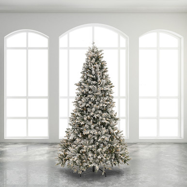 natnl-7.5-iceland-fir-900-