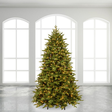 natnl-7.5-rochester-fraser-fir