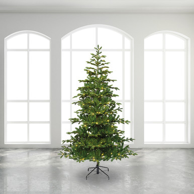kaemk-690879-8.9ft-balsamea-