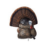 Avian X FlexTone Thunder Creeper Strutter Decoy