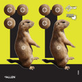 Allen Easy Aim Splash Non-Adhesive 8x8 Shooting Targets 6-Pack