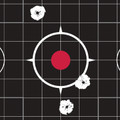Allen 27991 Ruger Splash Adhesive Target Kit for 10/22 Rifles