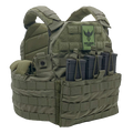 SHELLBACK TACTICAL SF PLATE CARRIER