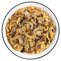 Wise Foods RW05402 Pro Meal Beef Stroganoff 2 Servings