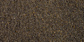 Evolved GSM Dirt Bag Camo Corn 5lb (3 Bags)