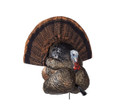 Avian X FlexTone Thunder Creeper Strutter Decoy
