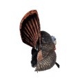 Avian X FlexTone Thunder Creeper Strutter Decoy