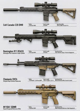 Modern Designated Marksman Rifles: What This Image Shows and How to Build a Similar Setup