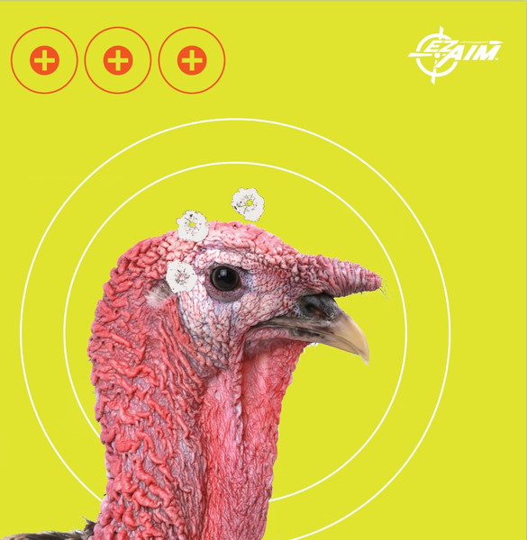 Allen 15267 EasyAim Splash Non-Adhesive Targets 12x18 Inches 6-Pack