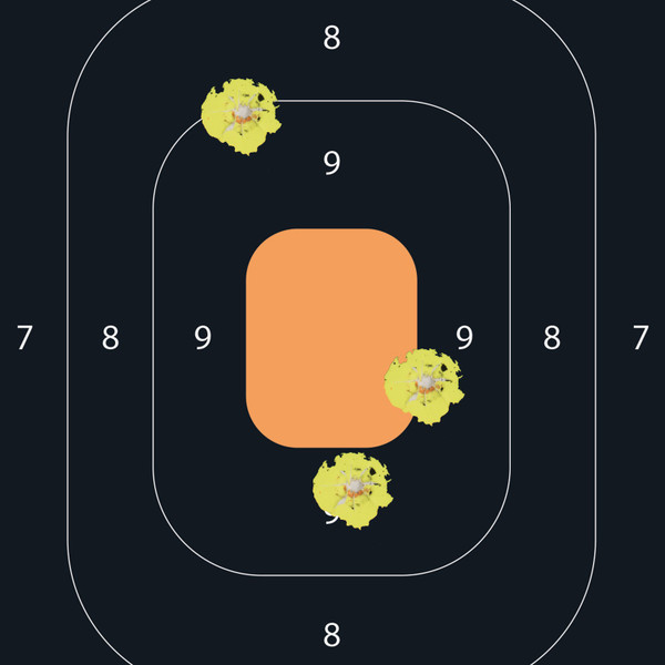 Allen 15501 Easy Aim Splash Adhesive 12x18 Inches 5-Pack