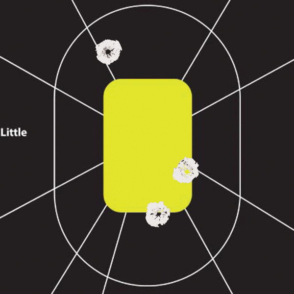 Allen 15220-30 EasyAim Splash Non-Adhesive Shooting Target 12x18 inches, Pack of 30