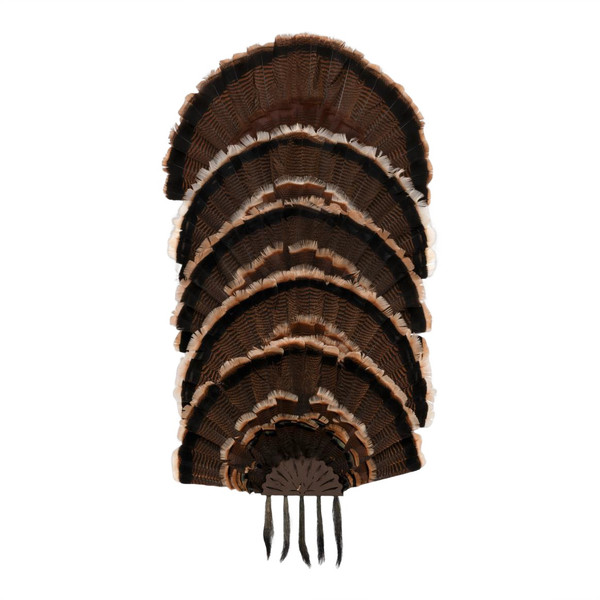 Allen 7258 EZ Mount Stacked Turkey Fan Mount 5 Pack