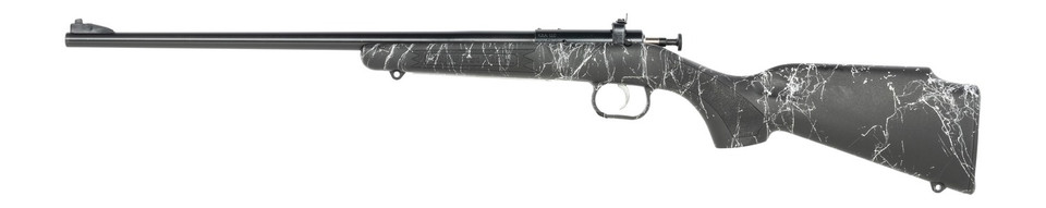 Crickett 22LR Gen2 Black Blued Barrel Rifle
