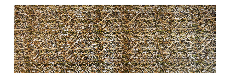 Allen 25329 3D Leafy Omnitex 12-Month Shadow Green Blind
